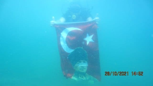 Dalış